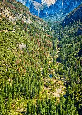 West Yosemite Valley
