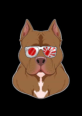 Pitbull Japan Sunglasses