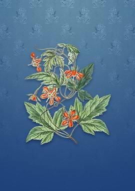 Vintage Red Loasa Flower