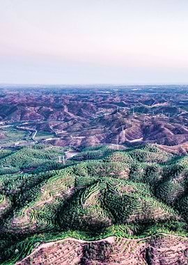 Vegetation mountains
