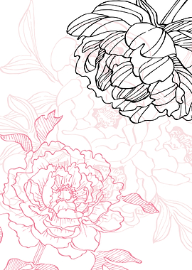 Peony Flowers Art