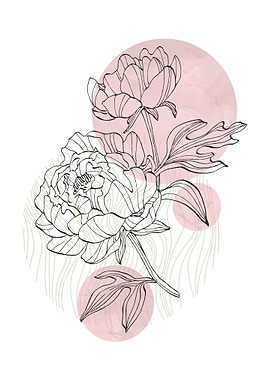 Peony Flowers Art