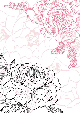 Peony Flowers Art