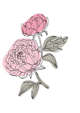 Peony Minimalist ART