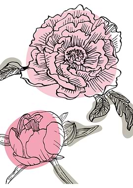 Peony Minimalist ART