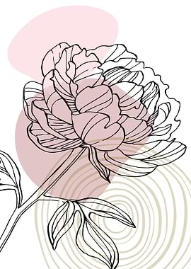 Peony Flowers Art