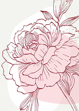 Peony Flowers Art