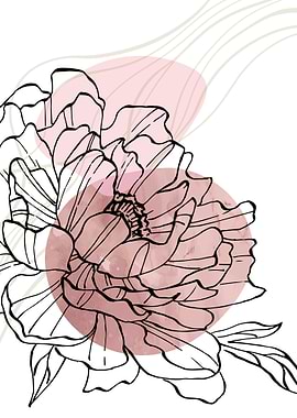 Peony Flowers Art