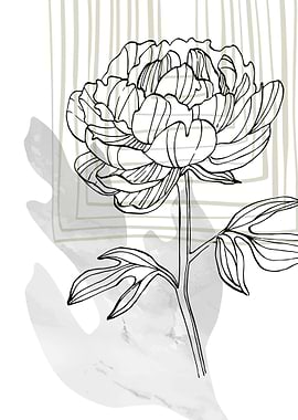 Peony Flowers Art