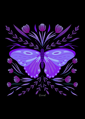 Purple butterfly on black