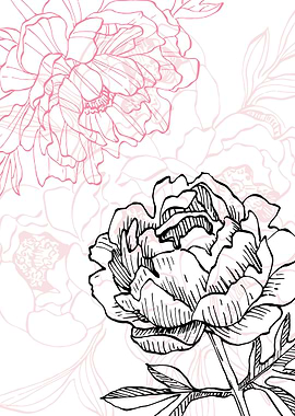 Peony Flowers Art