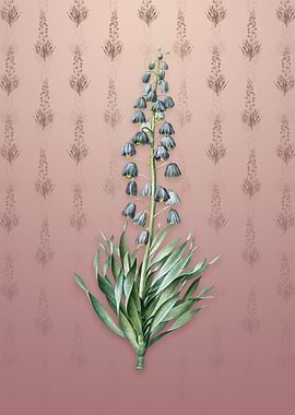 Vintage Persian Lily