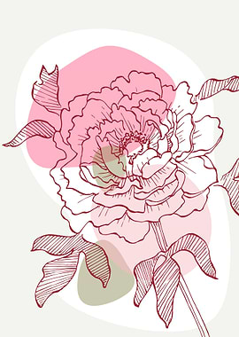 Peony Flowers Art
