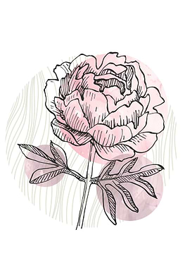 Peony Flowers Art