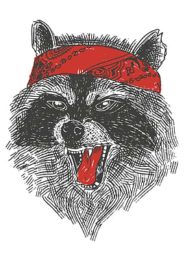 Angry bandana raccoon