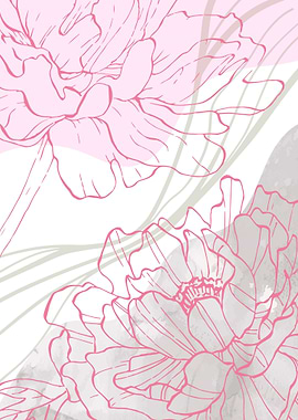 Peony Minimalist ART