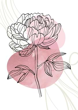 Peony Flowers Art