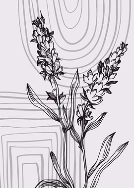 Lavender Botanical Nordic
