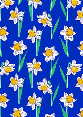 Daffodil flowers on blue