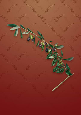 Vintage Olives on Falu Red