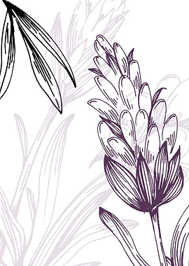 Lavender Botanical Nordic