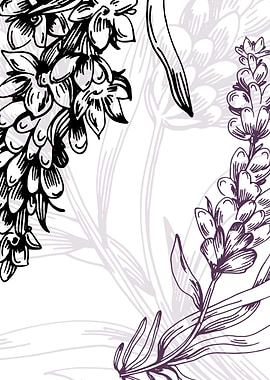 Lavender Botanical Nordic