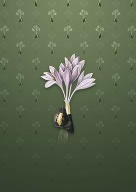 Vintage Autumn Crocus