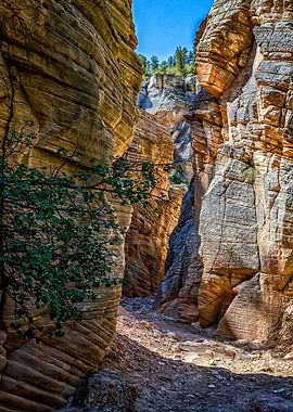 Lick Wash Trail Hike