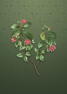 Crossberry on Lunar Green