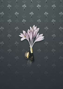 Vintage Autumn Crocus