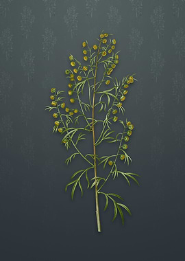 Vintage Madeira Wormwood