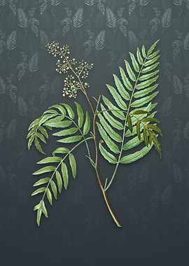 Vintage Peruvian Pepper