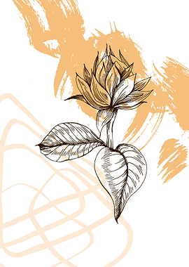 Sunflower Geometric flower