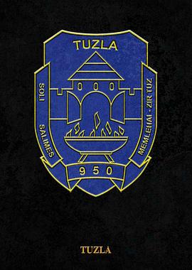 Arms of Tuzla