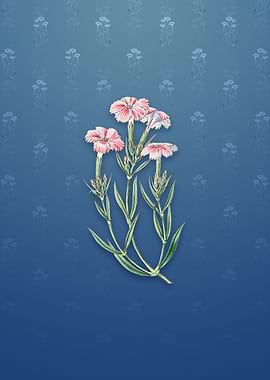 Bisignanos Tree Pink