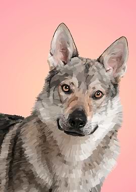 Czechoslovakian Wolfdog