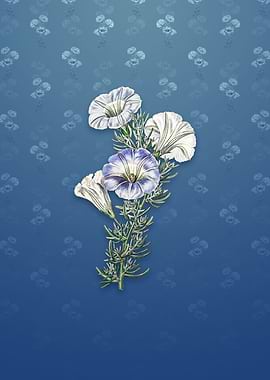 Sky Blue Alona Flower