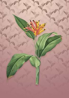 Vintage Lobster Claws