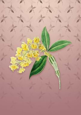 Dense Flowered Dendrobium