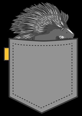 Porcupine
