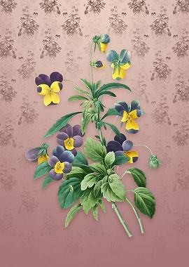 Vintage Johnny Jump Up