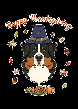 Bernese Mountain Dog