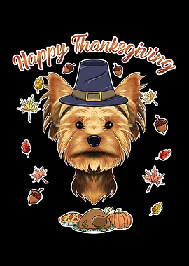 Yorkshire Terrier Pilgrim