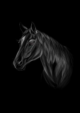 Horse head portrait