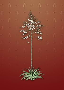 Vintage Giant Cabuya