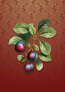 Vintage Cherry Plum on Red