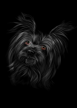 Head of yorkshire terrier
