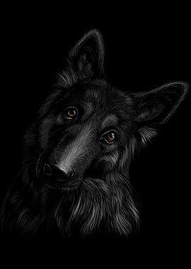 german shepherd dog