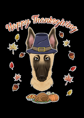 Thanksgiving Malinois