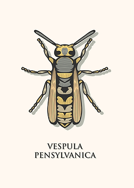 Western Yellow Jacket Wasp